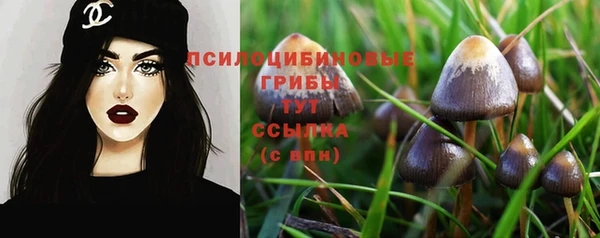 кокаин премиум Богородск