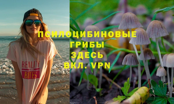 ешки Богородицк