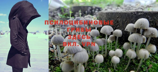 прущий лед Богданович