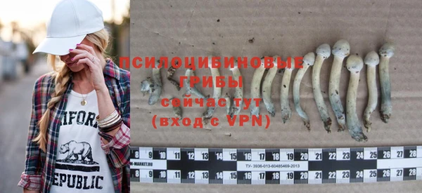 ешки Богородицк