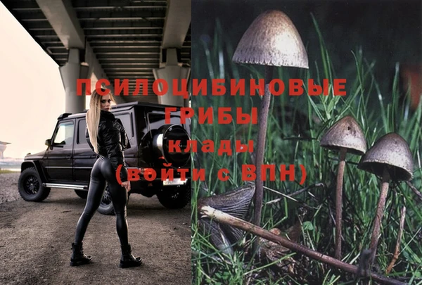 ешки Богородицк