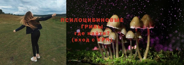 прущий лед Богданович