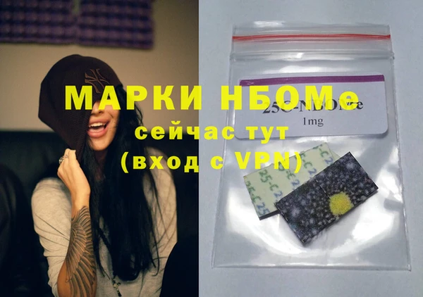 прущий лед Богданович