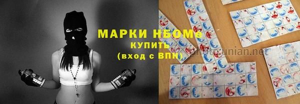 прущий лед Богданович