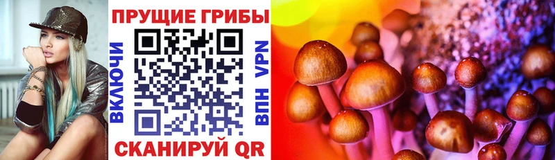 как найти закладки нарко площадка формула Псилоцибиновые грибы Magic Shrooms Наро-Фоминск блэк спрут как войти